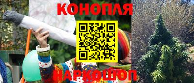 ГАЛЛЮЦИНОГЕННЫЕ ГРИБЫ Будённовск