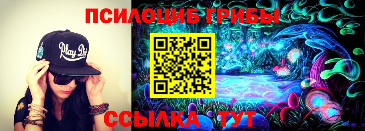 Псилоцибиновые грибы Psilocybine cubensis Уварово